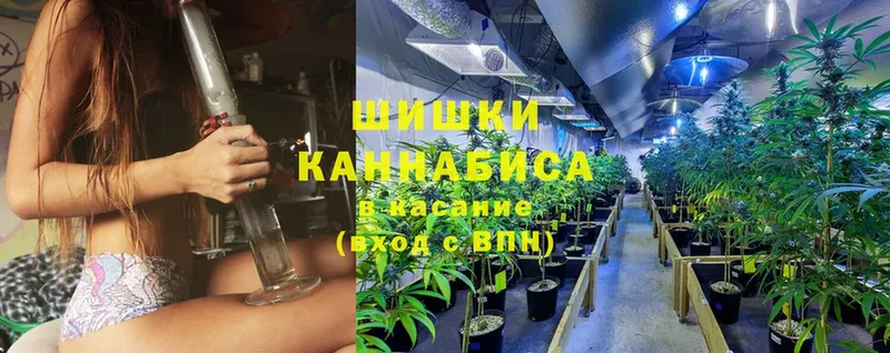 Канабис Ganja  Пласт 